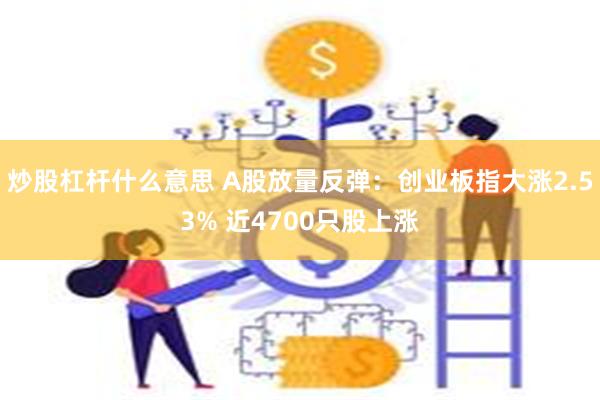 炒股杠杆什么意思 A股放量反弹：创业板指大涨2.53% 近4700只股上涨