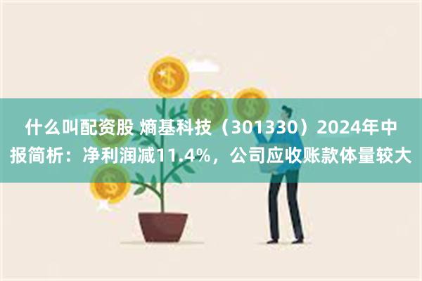 什么叫配资股 熵基科技（301330）2024年中报简析：净利润减11.4%，公司应收账款体量较大