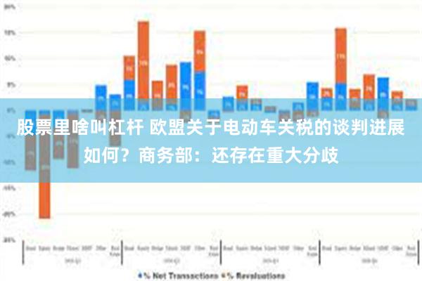 股票里啥叫杠杆 欧盟关于电动车关税的谈判进展如何？商务部：还存在重大分歧