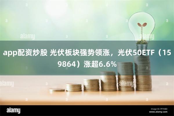 app配资炒股 光伏板块强势领涨，光伏50ETF（159864）涨超6.6%