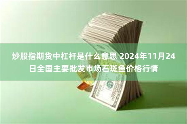 炒股指期货中杠杆是什么意思 2024年11月24日全国主要批发市场石斑鱼价格行情