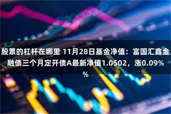 股票的杠杆在哪里 11月28日基金净值：富国汇鑫金融债三个月定开债A最新净值1.0502，涨0.09%