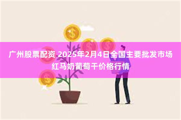 广州股票配资 2025年2月4日全国主要批发市场红马奶葡萄干价格行情