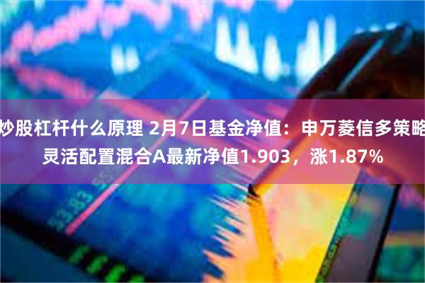 炒股杠杆什么原理 2月7日基金净值：申万菱信多策略灵活配置混合A最新净值1.903，涨1.87%