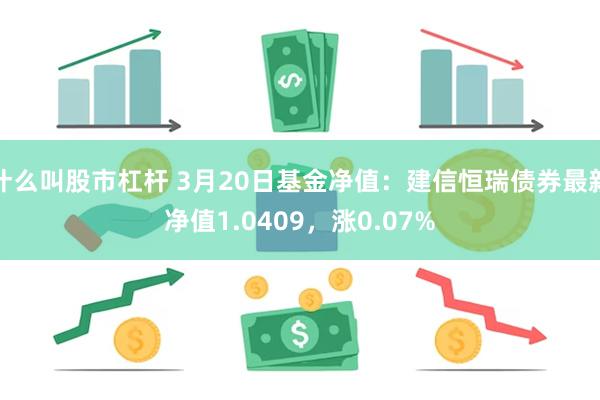 什么叫股市杠杆 3月20日基金净值：建信恒瑞债券最新净值1.0409，涨0.07%